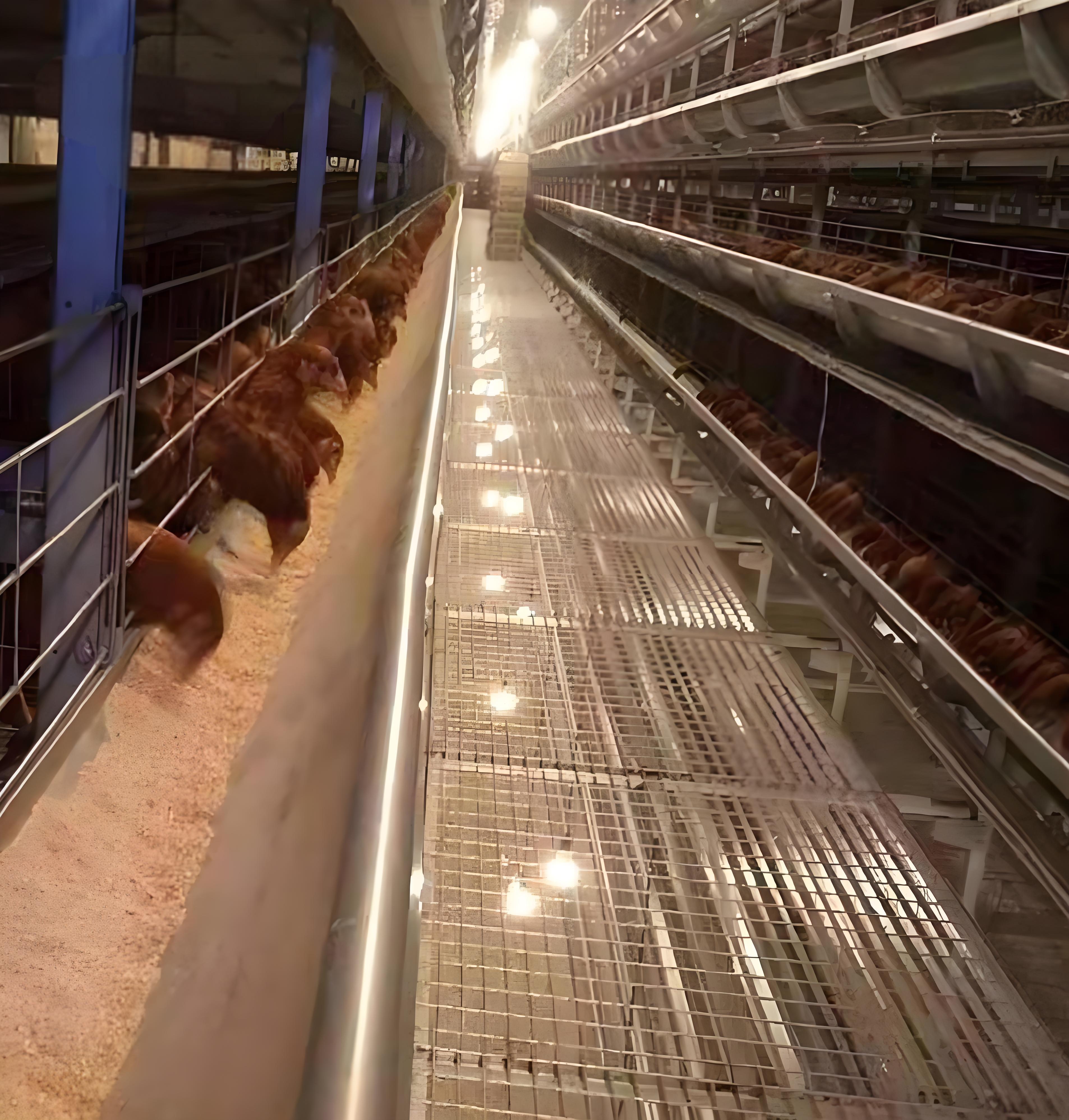 贵州省金仕达畜牧科技有限公司