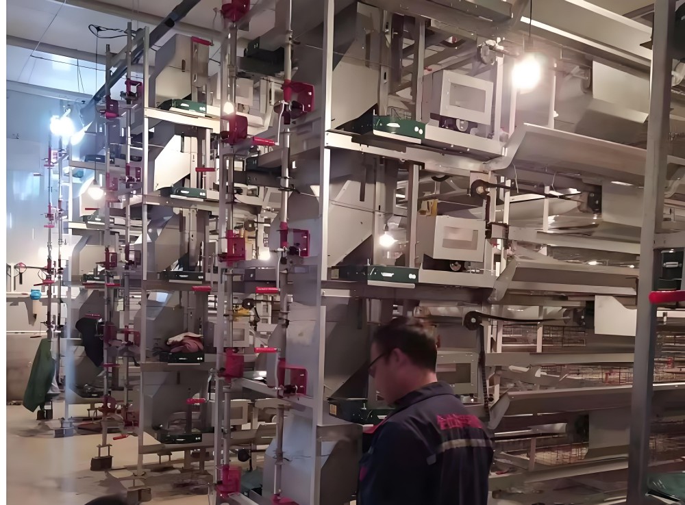 9CLLY-4288 Stacked Chain Feeding Hatching and Breeding Equipment